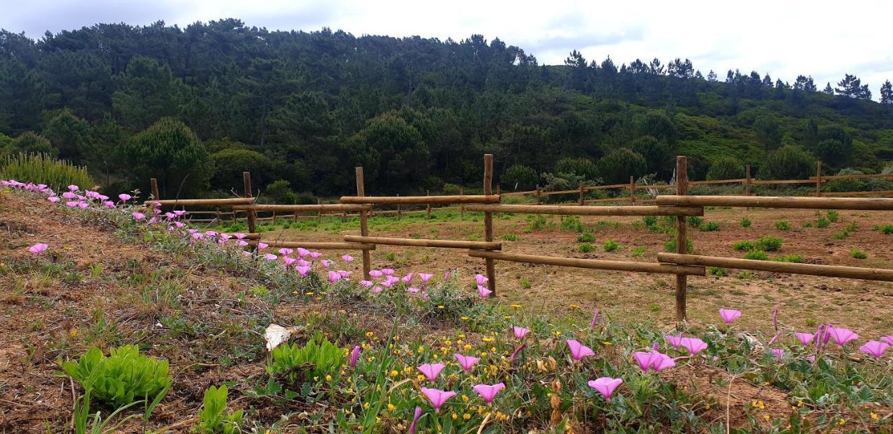 Sondela Self Catering Villa São Martinho do Porto Dış mekan fotoğraf
