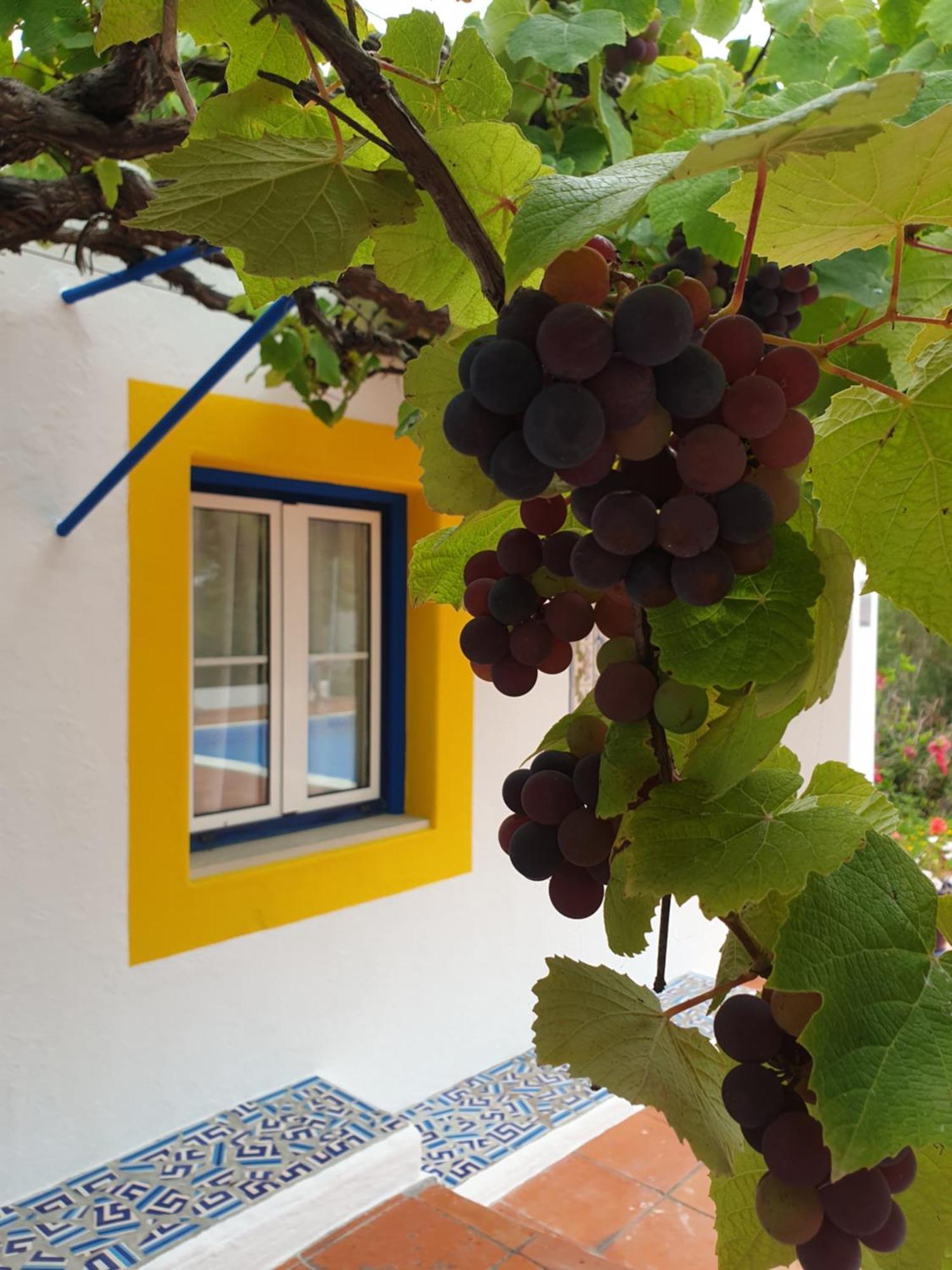 Sondela Self Catering Villa São Martinho do Porto Dış mekan fotoğraf