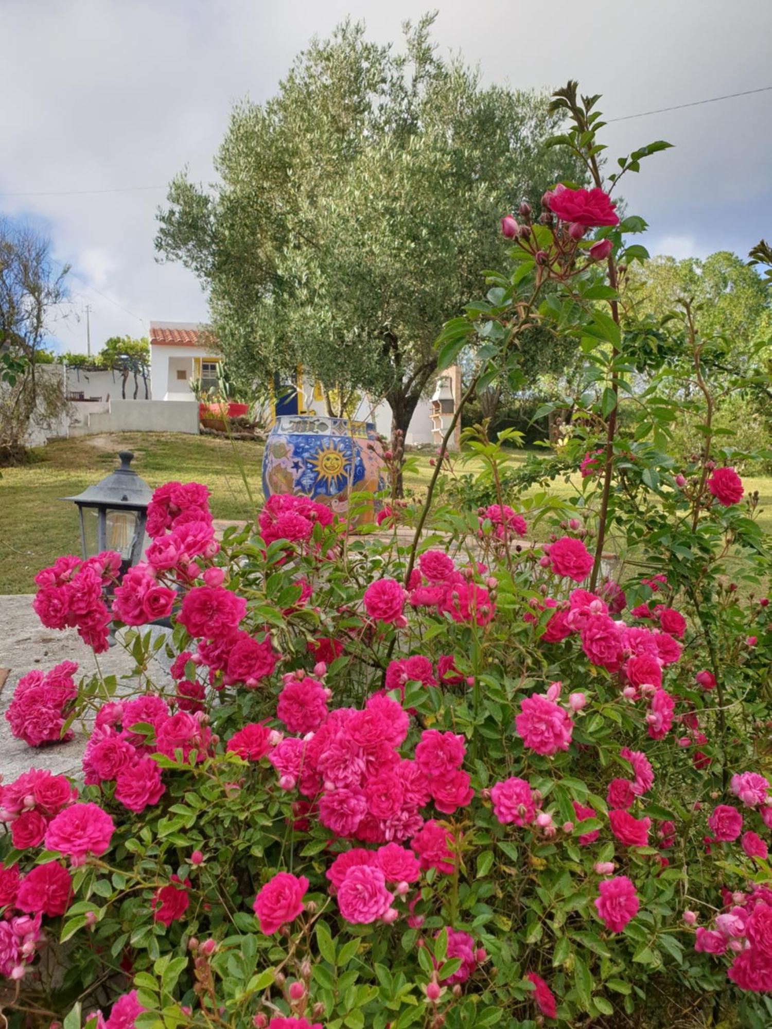 Sondela Self Catering Villa São Martinho do Porto Dış mekan fotoğraf