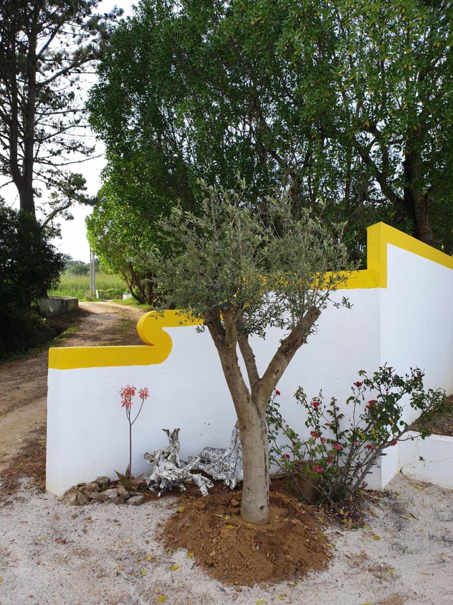 Sondela Self Catering Villa São Martinho do Porto Dış mekan fotoğraf