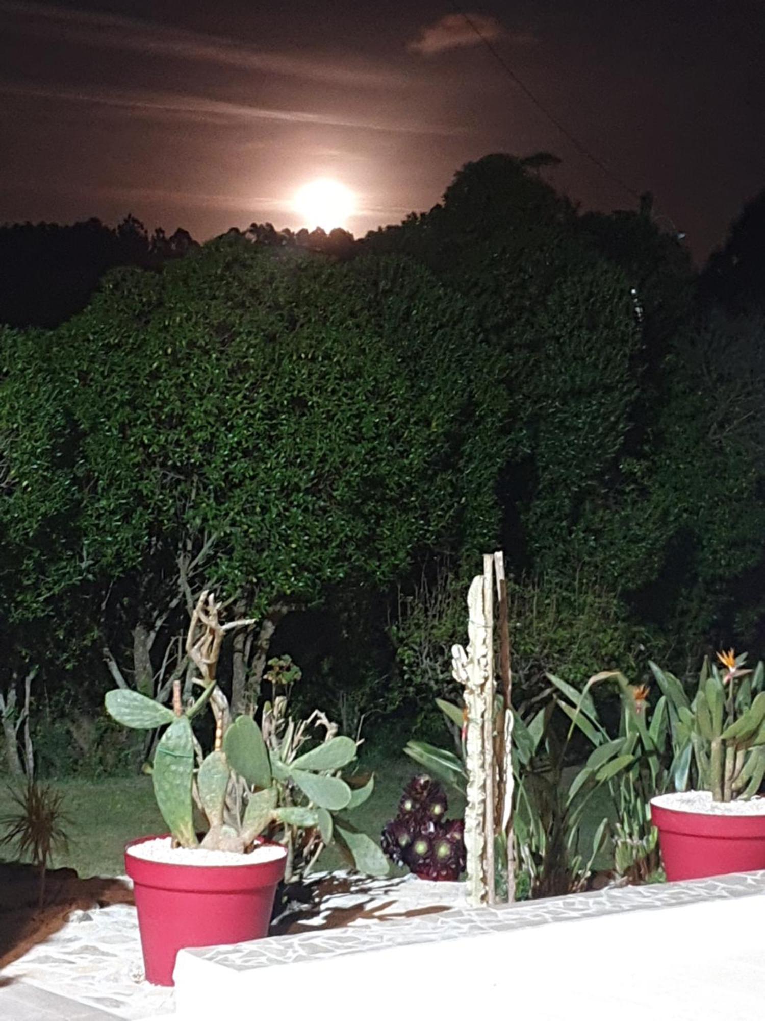 Sondela Self Catering Villa São Martinho do Porto Dış mekan fotoğraf